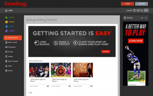 Bodog casino online